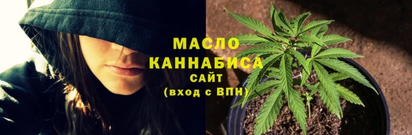 гашик Новодвинск