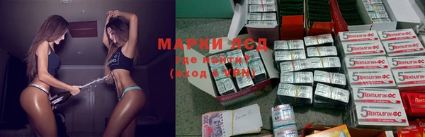 марки lsd Новокубанск