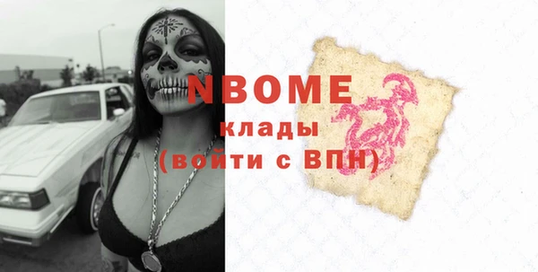 гашик Новодвинск