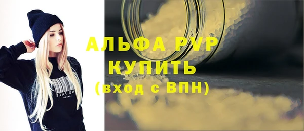 молекула духа Новозыбков