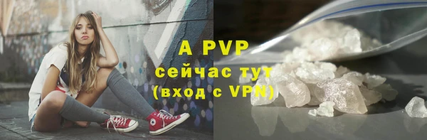 молекула духа Новозыбков