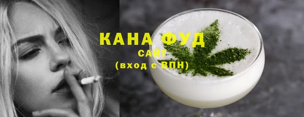 метадон Няндома