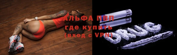 молекула духа Новозыбков