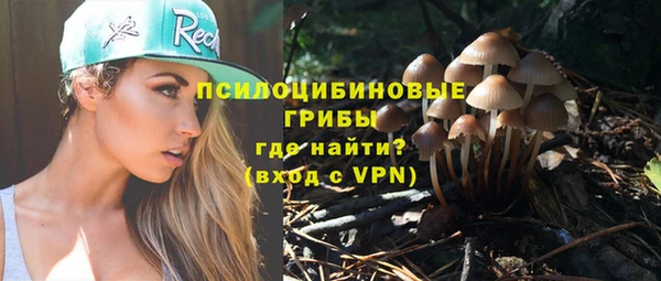 метадон Няндома