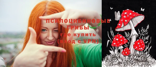 гашик Новодвинск