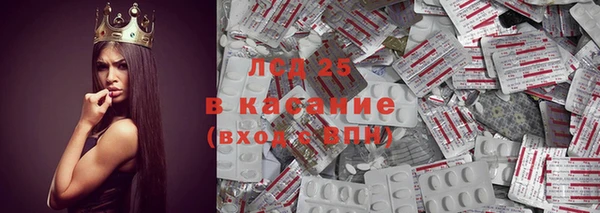 гашик Новодвинск