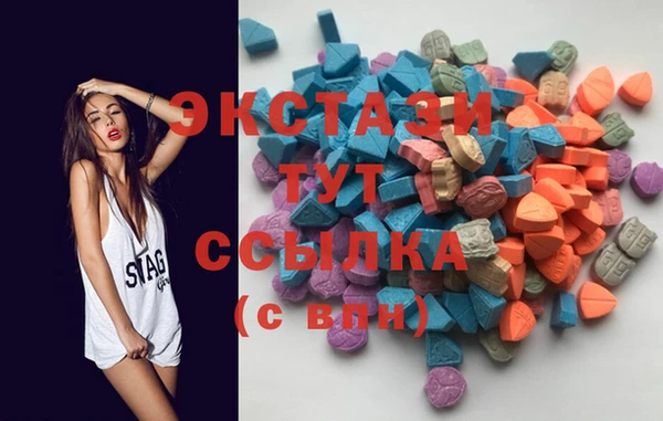 молекула духа Новозыбков