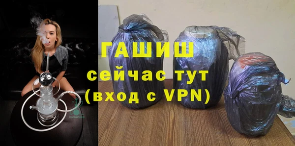 молекула духа Новозыбков