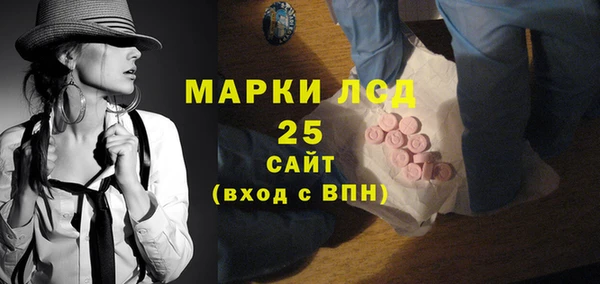 гашик Новодвинск