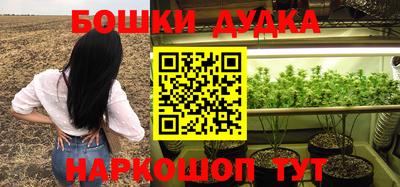 сатива Будённовск