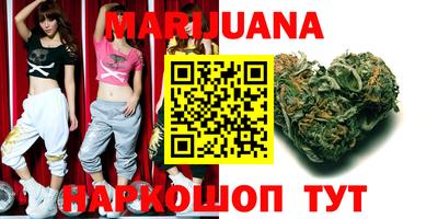 сатива Будённовск