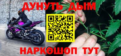 сатива Будённовск