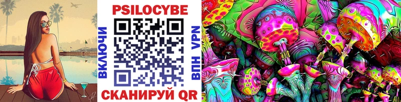 наркота  Хабаровск  Псилоцибиновые грибы Psilocybe 