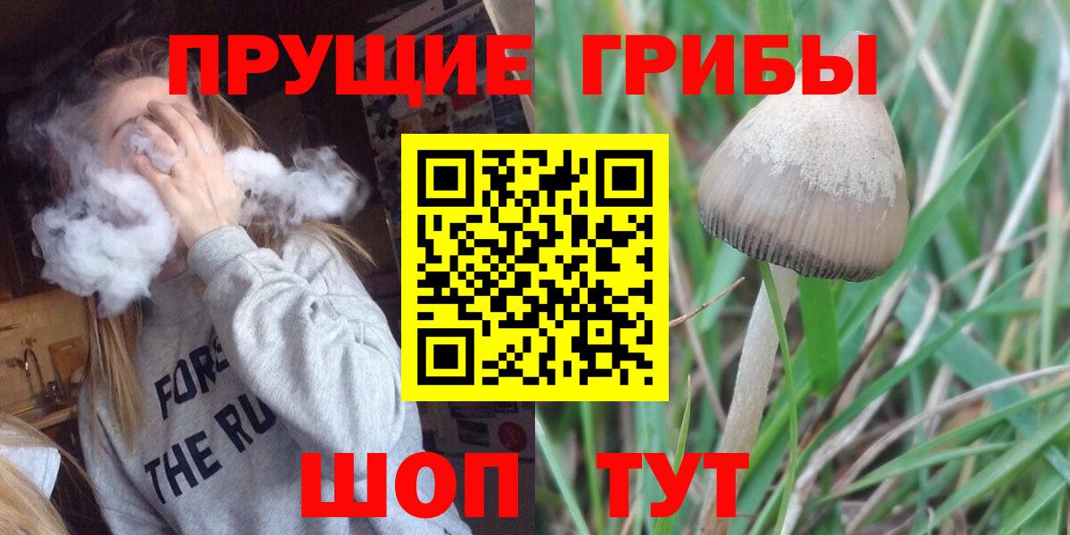 Галлюциногенные грибы Cubensis Хабаровск