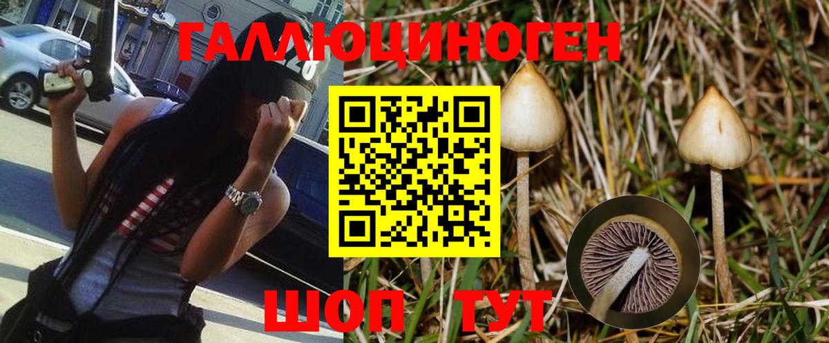 Галлюциногенные грибы прущие грибы Хабаровск