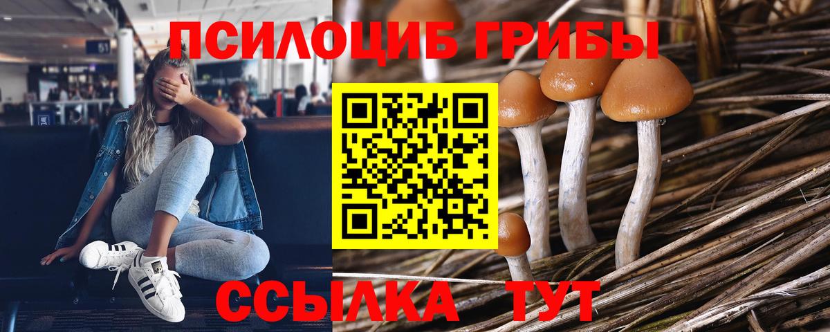 Галлюциногенные грибы мухоморы  Псилоцибиновые грибы Magic Shrooms  Вход с VPN  Хабаровск 
