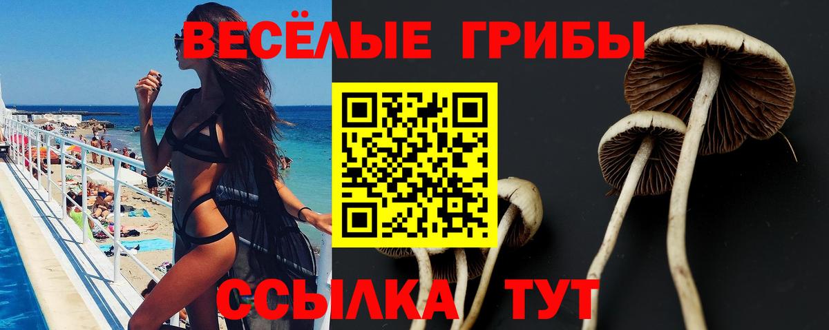 Галлюциногенные грибы прущие грибы  Хабаровск 