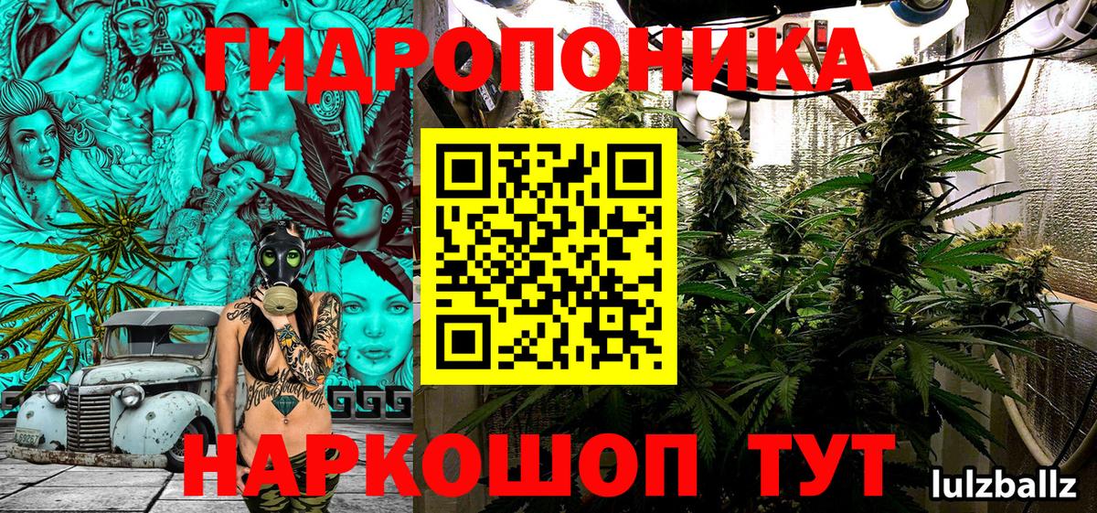 Шишки марихуана LSD WEED  Бошки марихуана план  Бошки Шишки планчик  Хабаровск  Вход с VPN 